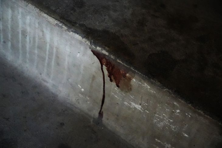 Der er stadig blod på trapperne i opgangen. Foto: Stefan Weichert
